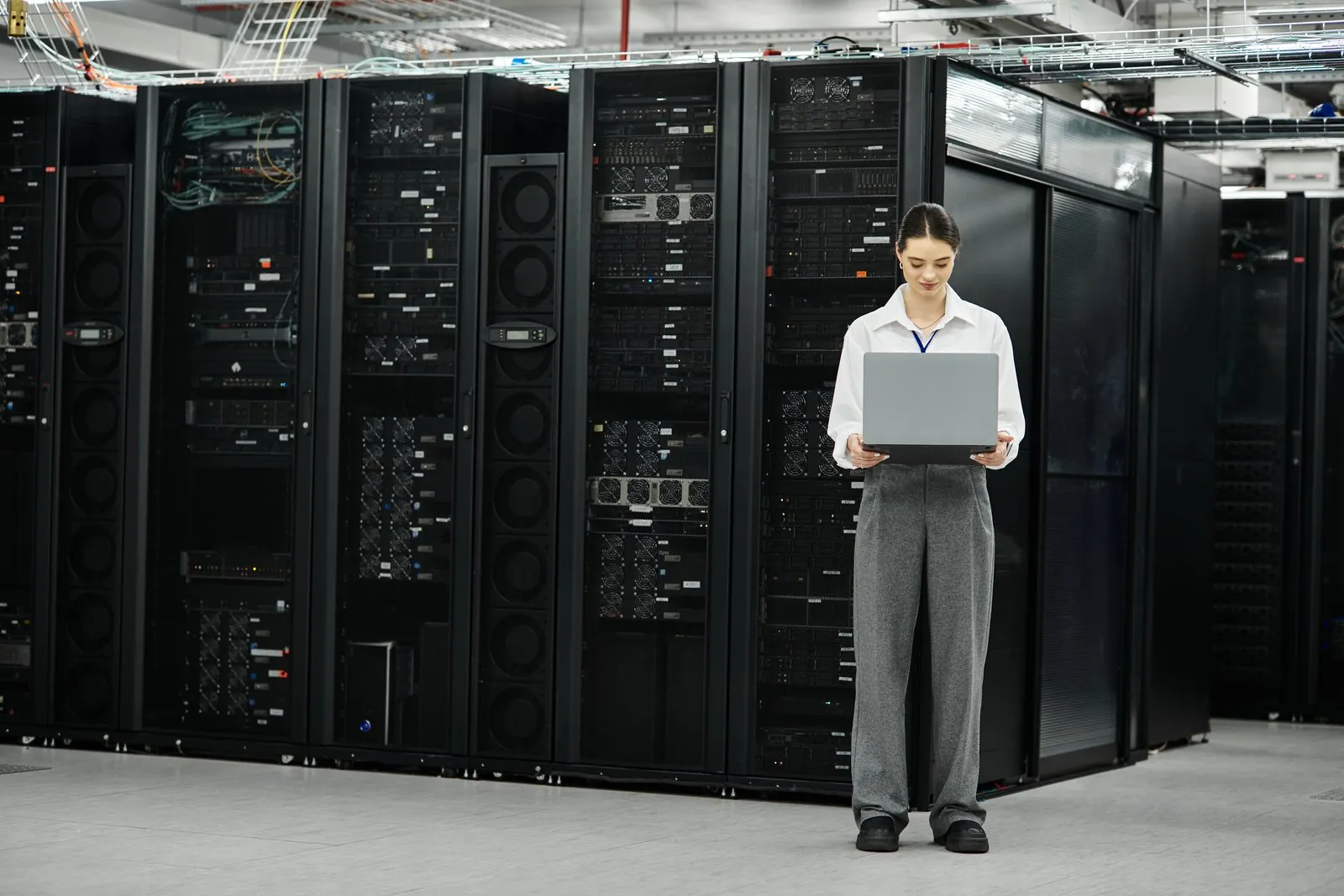 Lucky Duck's managed hosting servers